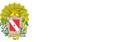 Técnico de Radiologia